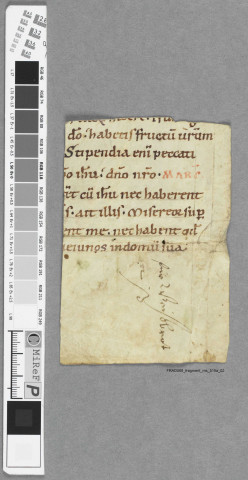 Fragment ms 515a
