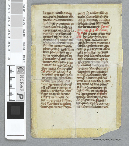 Fragment ms 445b