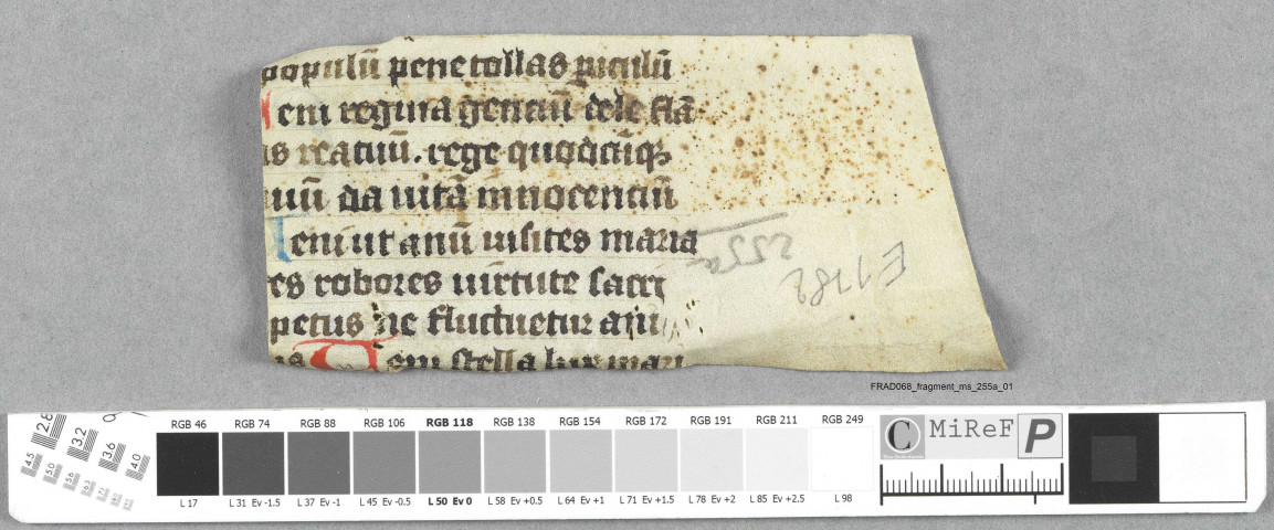 Fragment ms 255a