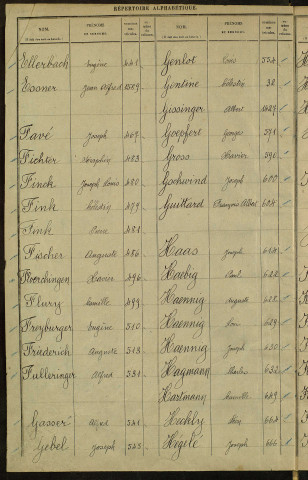 Bureau de recrutement de Mulhouse : table alphabétique et registre des hommes des cantons de Dannemarie et Masevaux (en 1 volume)