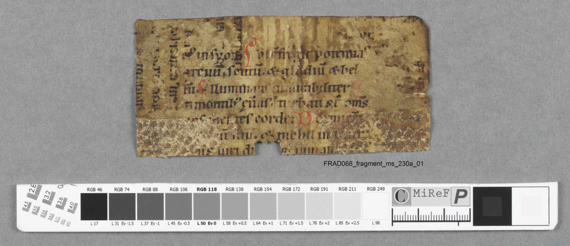 Fragment ms 230a