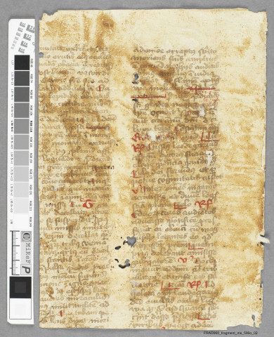 Fragment ms 596o