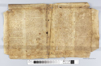 Fragment ms 013