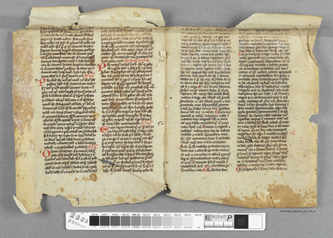 Fragment ms 378a