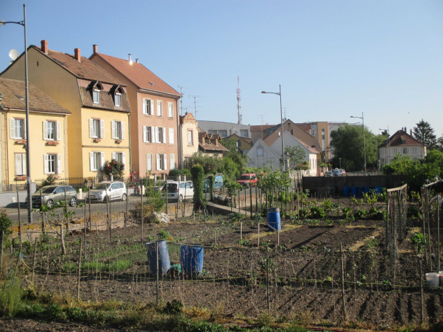 Les jardins familiaux du quartier Saint-Antoine