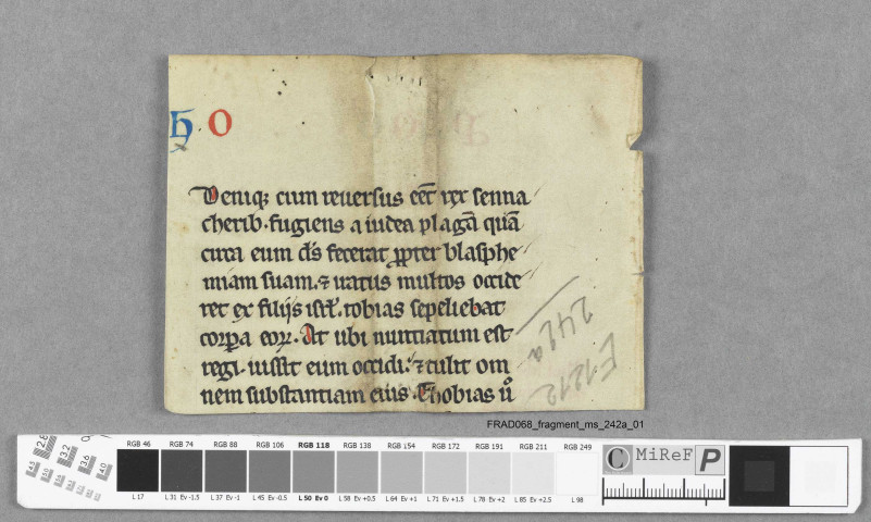 Fragment ms 242a