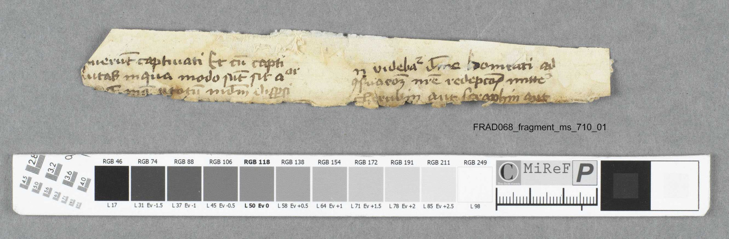 Fragment ms 710a