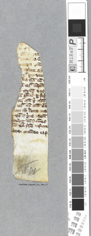 Fragment ms 198c