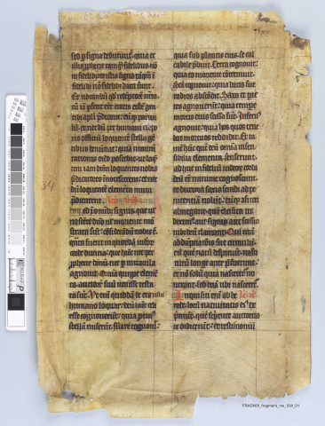 Fragment ms 034