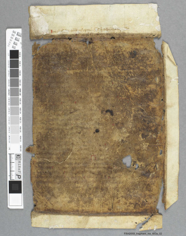 Fragment ms 663a