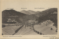 Thierenbach, pèlerinage : panorama avec basilique