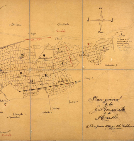 Plan général de la Forêt Domaniale de la Harth - Ch. Ruhlmann à Mulhouse