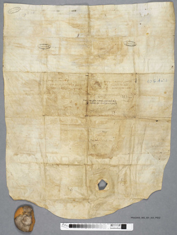 Confirmation par l'évêque de Strasbourg Widegerne de la fondation de l'abbaye de Murbach par le comte Eberhard