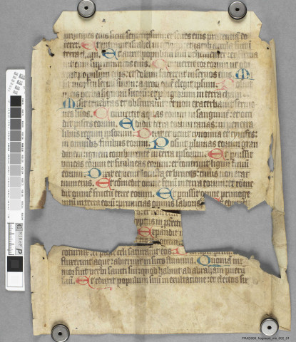 Fragment ms 602a