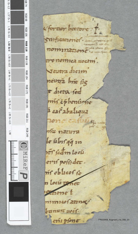 Fragment ms 692a