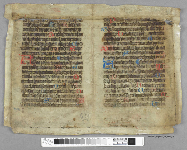 Fragment ms 569a