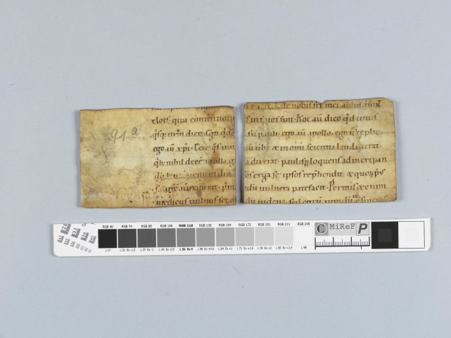 Fragment ms 091a