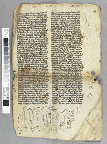 Fragment ms 456a