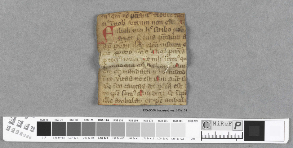 Fragment ms 183a
