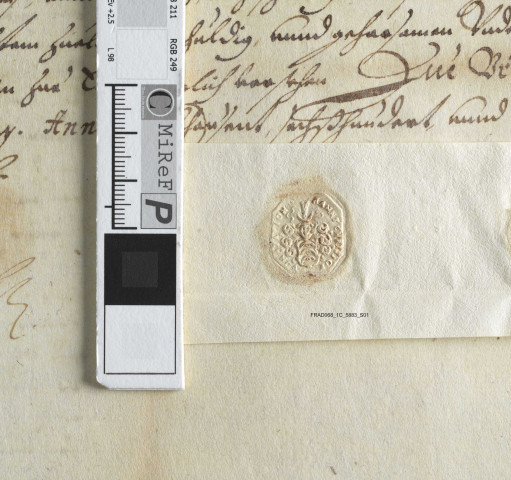 Lettre d'investiture du fief de Haut-Landsberg pour Hélène Eléonore de Furstenberg fille de Jean-Guillaume de Schwendi