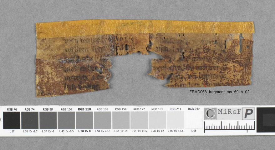 Fragment ms 591b