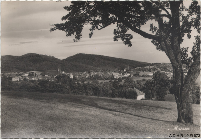 Masevaux : vue générale