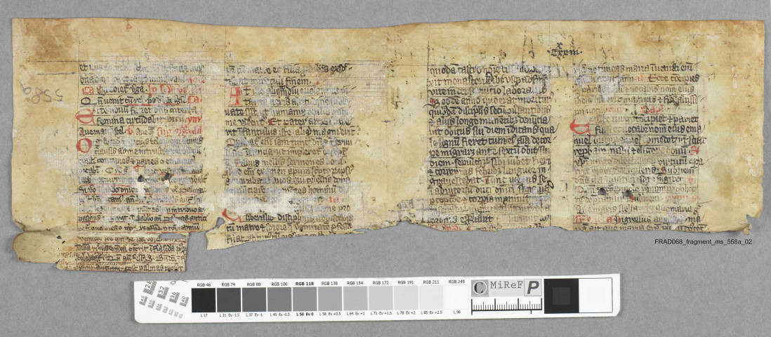Fragment ms 558a