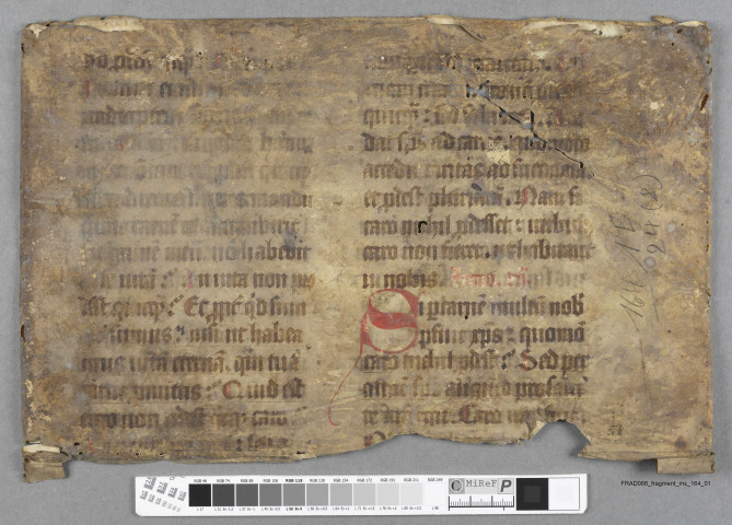 Fragment ms 164a