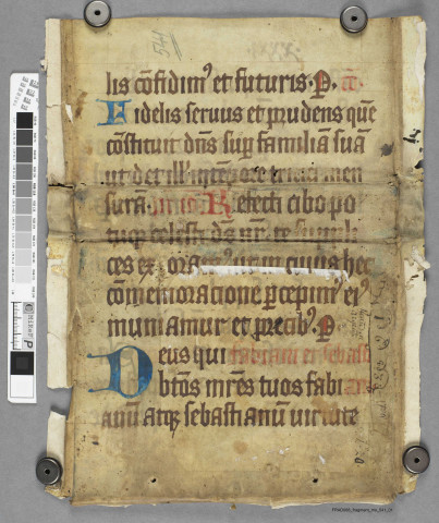 Fragment ms 541a