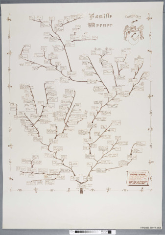 Arbre généalogique des descendants de Thiébaut Werner et Gertrude Kell