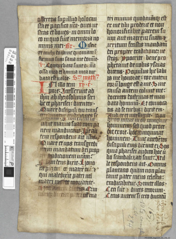 Fragment ms 294