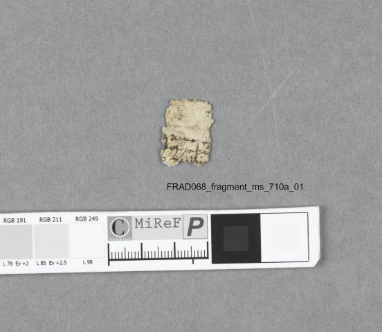 Fragment ms 710a