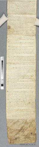 "Statuta Murbacensia"