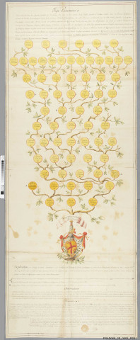 Arbre généalogique de la famille d'Andlau