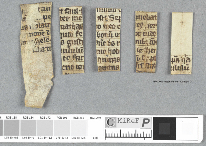 Fragment ms 405efghi