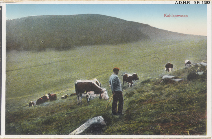 Vallée de Munster : Kallenwasen