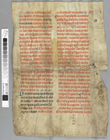 Fragment ms 290