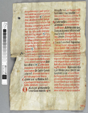Fragment ms 290