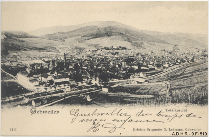 Guebwiller : vue générale