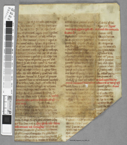 Fragment ms 543c