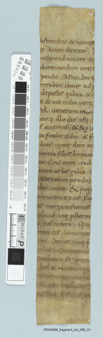 Fragment ms 085a