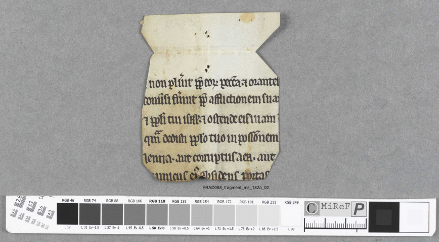 Fragment ms 182a