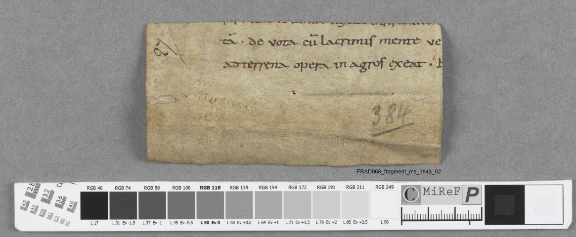 Fragment ms 384a