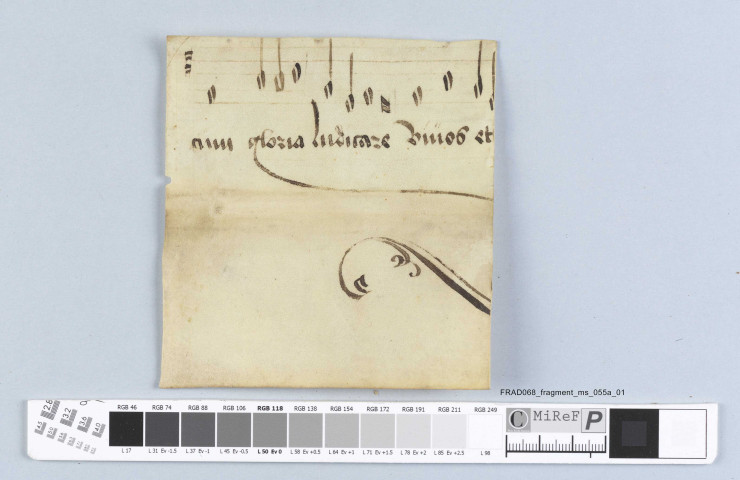Fragment ms 055a