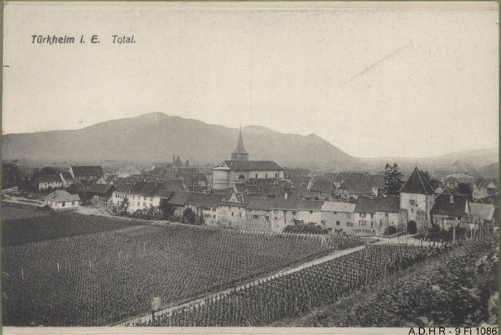 Türckheim : vue générale