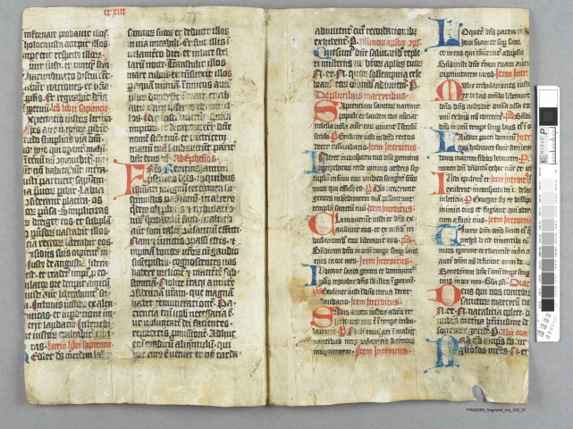 Fragment ms 325