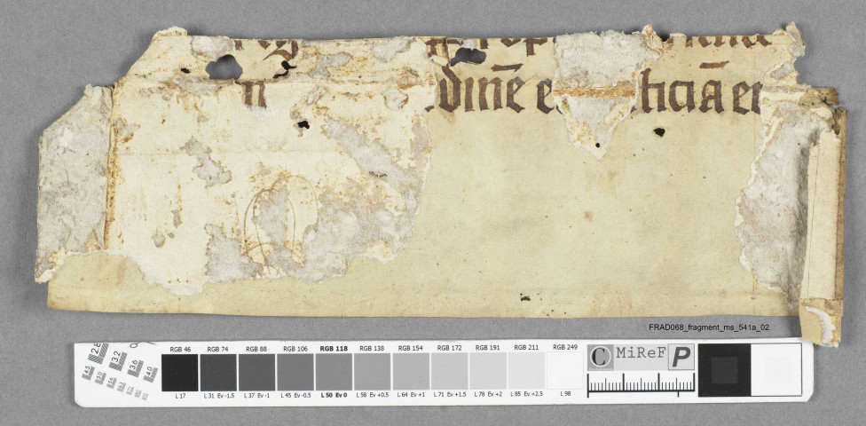 Fragment ms 541a