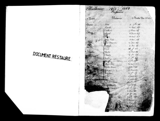 Tables décennales, naissances