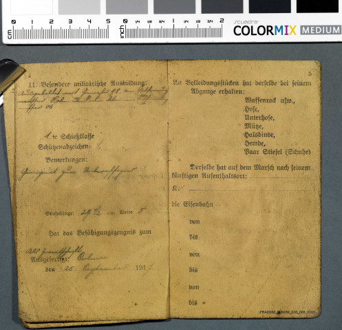 Documents militaires relatifs à Emile WALDECK (certificat de permissions, livret militaire et lettre concernant son hospitalisation).