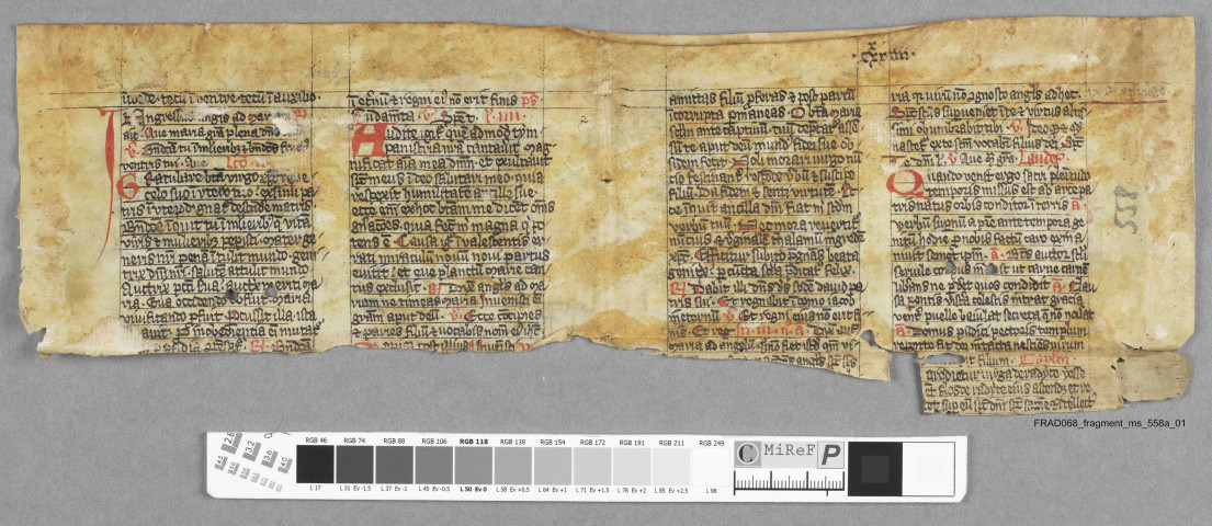 Fragment ms 558a